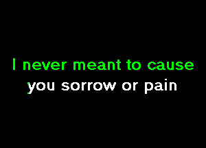 I never meant to cause

you sorrow or pain