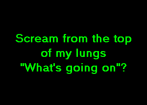 Scream from the top

of my lungs
What's going on?