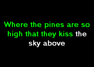 Where the pines are so

high that they kiss the
sky above