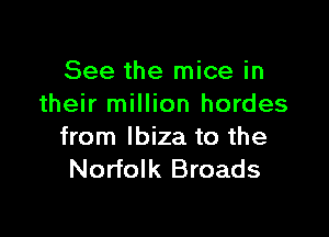 See the mice in
their million hordes

from Ibiza to the
Norfolk Broads