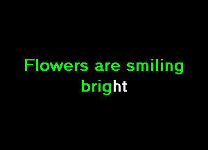 Flowers are smiling

bright