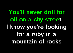 You'll never drill for
oil on a city street.

I know you're looking
for a ruby in a
mountain of rocks