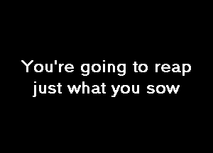 You're going to reap

just what you sow