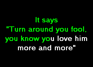 It says
Turn around you fool,

you know you love him
more and more