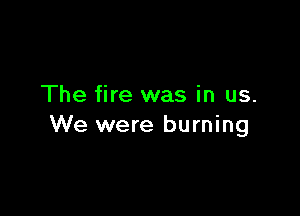 The fire was in us.

We were burning