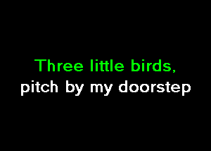Three little birds,

pitch by my doorstep