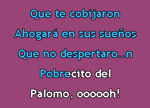 Que te cobijaron

Ahogam en sus suerios

Que no despertaro..n

Pobrecito del

Palomo, oooooh!