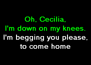 Oh, Cecilia.
I'm down on my knees.

I'm begging you please,
to come home