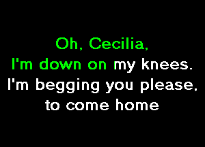 Oh, Cecilia.
I'm down on my knees.

I'm begging you please,
to come home