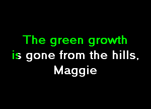 The green growth

is gone from the hills,
Maggie