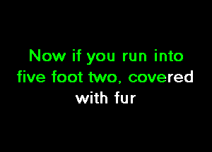 Now if you run into

five foot two, covered
with fur