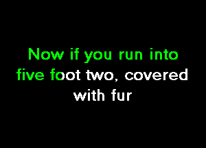 Now if you run into

five foot two, covered
with fur