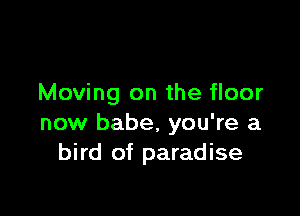 Moving on the floor

now babe, you're a
bird of paradise