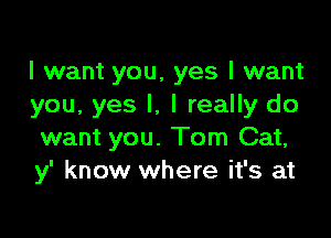 I want you. yes I want
you, yes I, I really do

want you. Tom Cat,
y' know where it's at