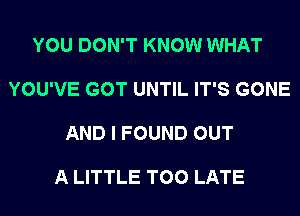 YOU DON'T KNOW WHAT

YOU'VE GOT UNTIL IT'S GONE

AND I FOUND OUT

A LITTLE TOO LATE