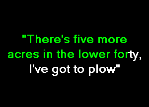 There's five more

acres in the lower forty,
I've got to plow