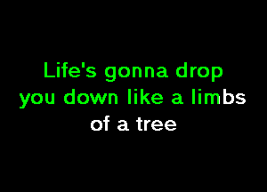 Life's gonna drop

you down like a limbs
of a tree