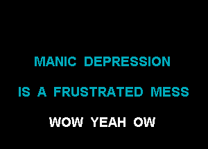 MANIC DEPRESSION

IS A FRUSTRATED MESS

WOW YEAH OW