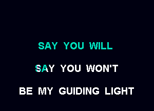 SAY YOU WILL

SAY YOU WON'T

BE MY GUIDING LIGHT