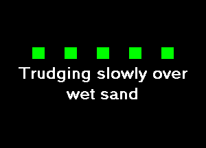 DDDDD

Trudging slowly over
wet sand
