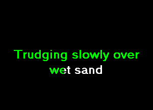 Trudging slowly over
wet sand