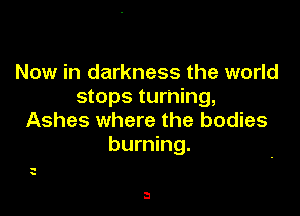 Now in darkness the world
stops turning,

Ashes where the bodies
burning.

D