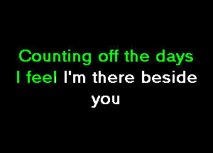 Counting off the days

I feel I'm there beside
you