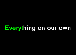 Everything on our own