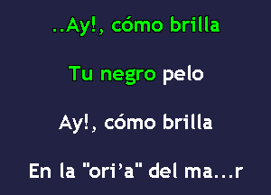 ..Ay! , c6mo brilla

Tu negro pelo

Ay! , c6mo brilla

En la orPa del ma...r