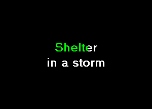 Shelter

in a storm