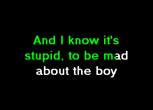 And I know it's

stupid. to be mad
about the boy