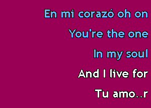 En mi coraz6 oh on

You're the one

In my soul

And I live for

Tu amo..r