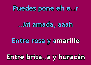 Puedes pone eh e..r
..Mi amada, aaah

Entre rosa y amarillo

Entre brisa..a y huraczim