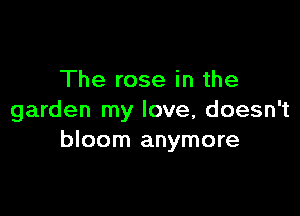 The rose in the

garden my love, doesn't
bloom anymore