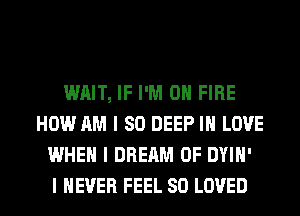 WAIT, IF I'M ON FIRE
HOW AM I SO DEEP III LOVE
WHEN I DREAM 0F DYIII'

I NEVER FEEL SO LOVED