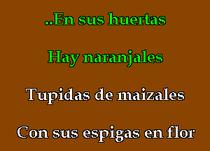 ..En sus huel'tas
Hay naranj ales
Tupidas de maizales

C 0n sus espigas en flor