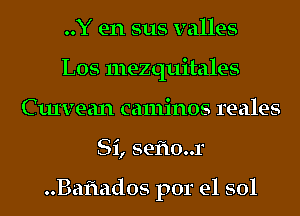 ..Y en sus valles
L05 mezquitales
Curvean caminos reales
Si, seflo..r

..Baf1ados por el sol