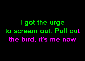 I got the urge

to scream out. Pull out
the bird, it's me now