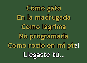 Como gato
En la madrugada
Como Iagrima

No programada
Como rocio en mi piel
Llegaste tu..