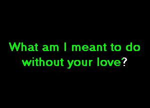 What am I meant to do

without your love?