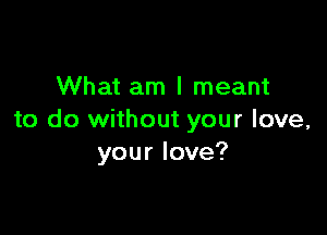 What am I meant

to do without your love,
your love?