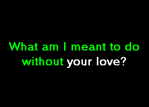 What am I meant to do

without your love?