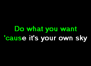 Do what you want

'cause it's your own sky