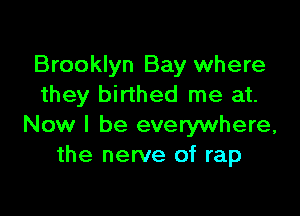 Brooklyn Bay where
they birthed me at.

Now I be everywhere,
the nerve of rap