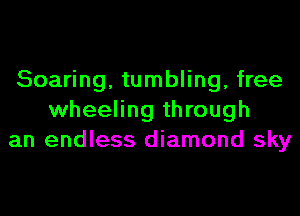Soaring, tumbling, free

wheeling through
an endless diamond sky