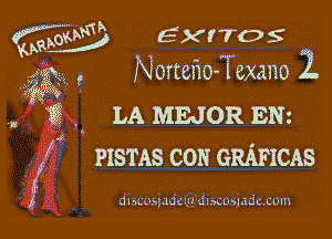 EXITOS
Norteflo-Tcxano Z

g3 . LA MEJOR ENz

Ii PISTAS con GRAFICAS

J l semi .nk ug3cfi5005jm3ucoln