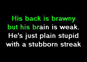 His back is brawny
but his brain is weak.
He's just plain stupid
with a stubborn streak