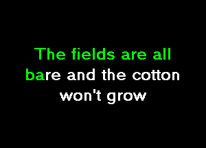 The fields are all

bare and the cotton
won't grow