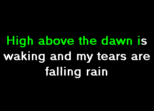 High above the dawn is

waking and my tears are
falling rain