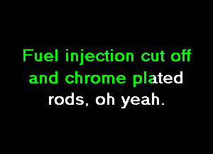 Fuel injection cut off

and chrome plated
rods, oh yeah.